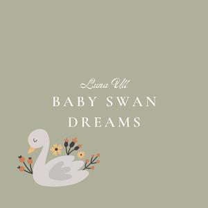 老头和妓女做爱视频
