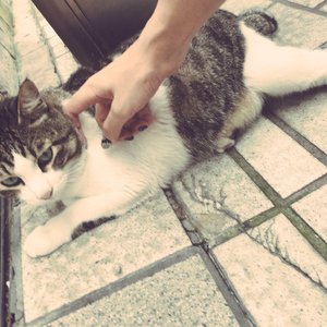 老头和妓女做爱视频
