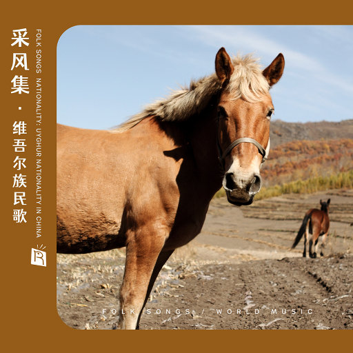 老头和妓女做爱视频
