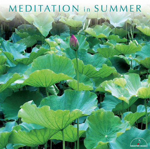 老头和妓女做爱视频
